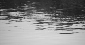 Ripples spreading across still water, in black and white.
